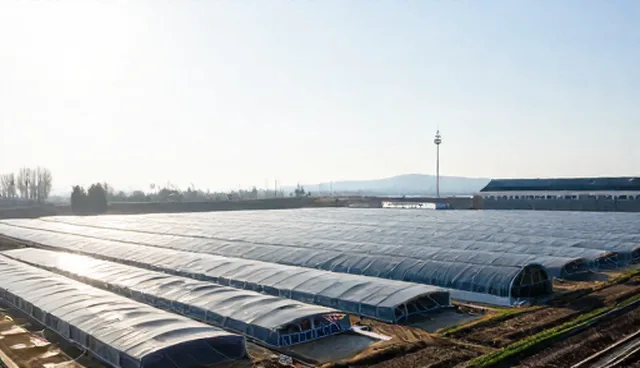 项目包括包车业务趋势分析与适用场景探讨